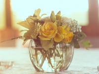 WendyEugeneWedding-26 : album, final, wedding