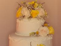 WendyEugeneWedding-298 : album, final, wedding