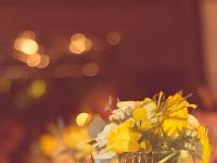 WendyEugeneWedding-310 : album, final, wedding