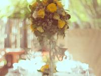 WendyEugeneWedding-33 : album, final, wedding