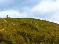 WendyEugeneWedding-84 : album, final, wedding